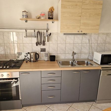 Bugenvila Рогозница Стая снимка